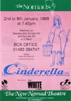 Click to see a larger picture of Cinderella